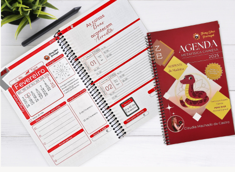 2025-Agenda-FengShui.JPG - 180981 Bytes